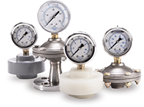SENTINEL&trade; Diaphragm Seals, Gauge Guards